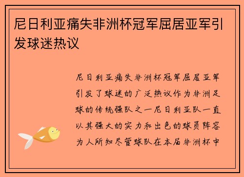 尼日利亚痛失非洲杯冠军屈居亚军引发球迷热议